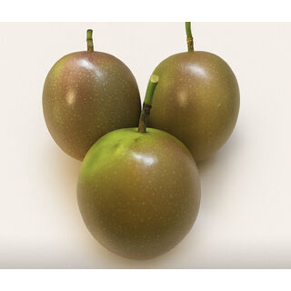 PASSION FRUIT
