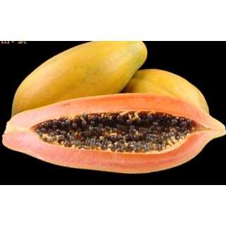 PAPAYA